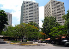 História de Pinheiros