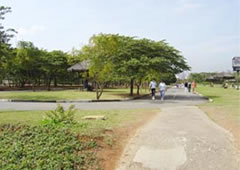 Parques em Pinheiros